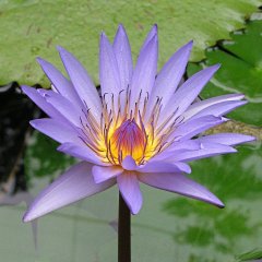 P1010021.JPG