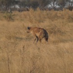 P9083087