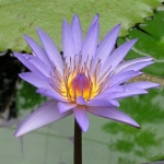 P1010021.JPG