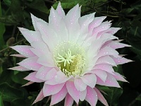 P1010383