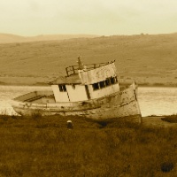 P1011151